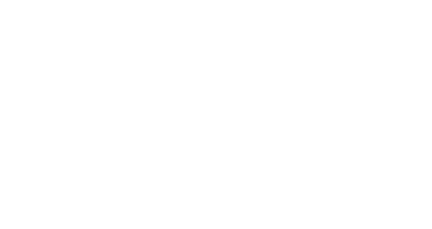 Z8 labs photography